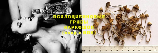 индика Заводоуковск