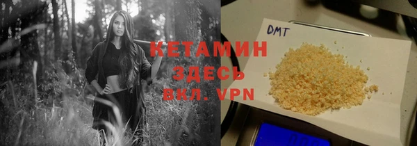 индика Заводоуковск