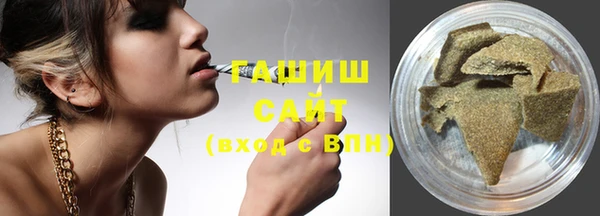 индика Заводоуковск