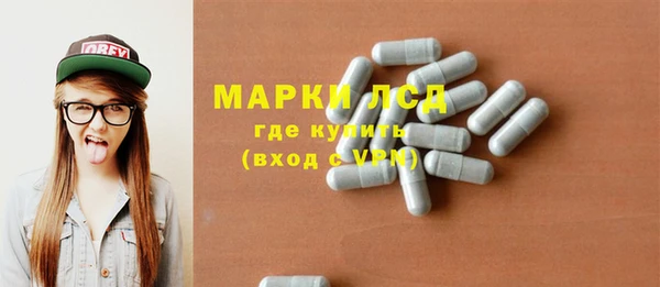 индика Заводоуковск