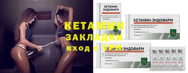 индика Заводоуковск