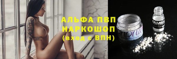 индика Заводоуковск