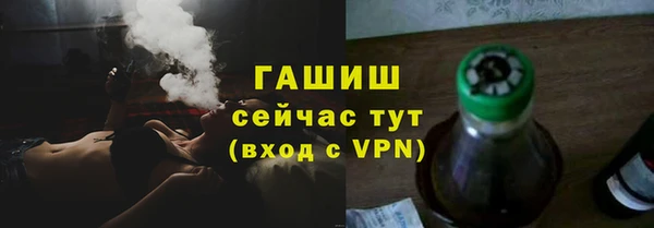 индика Заводоуковск