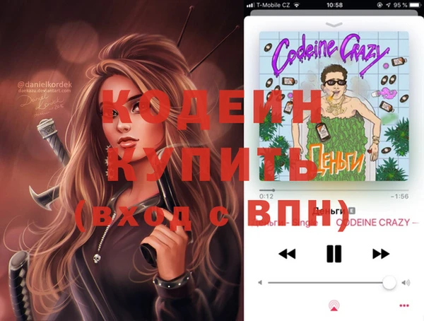 индика Заводоуковск