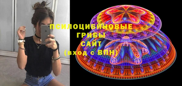 индика Заводоуковск