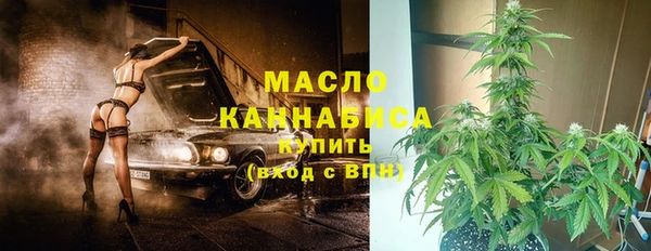 индика Заводоуковск