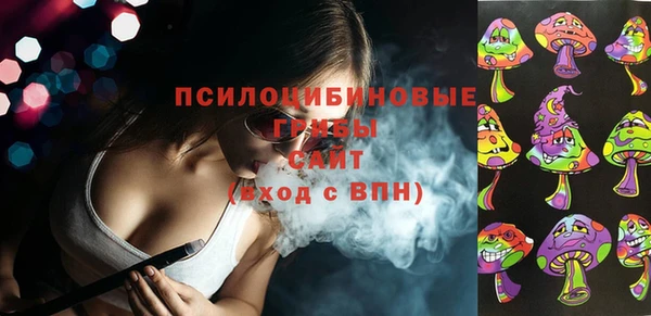 индика Заводоуковск