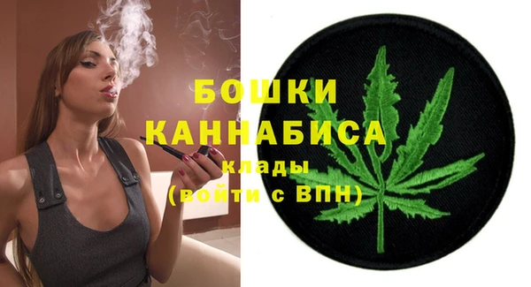 индика Заводоуковск
