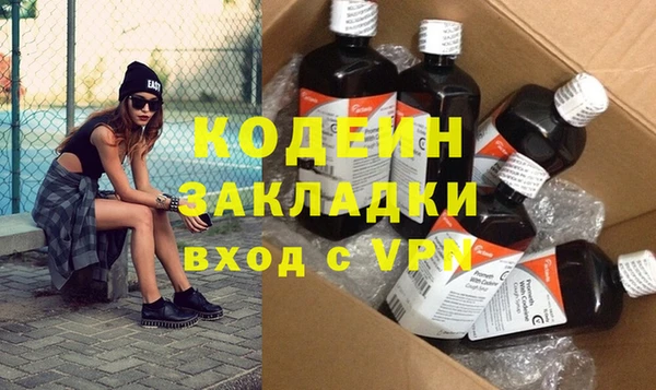 индика Заводоуковск
