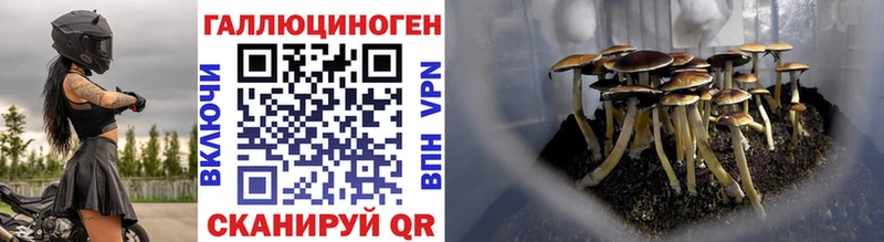 Псилоцибиновые грибы Cubensis  Купить закладки  Дегтярск 